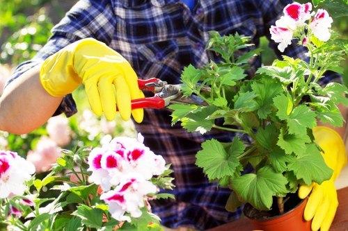 Overgrown garden cleared in Millbank with waste removed