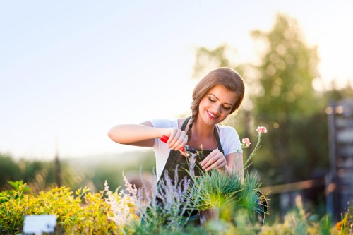 Professional garden care in Millbank with insurance and safety measures
