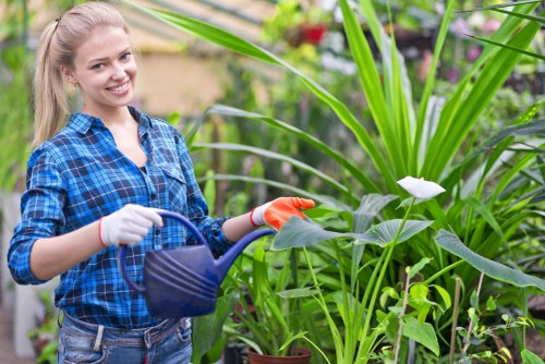 Fertilizer application for lawn care in Millbank