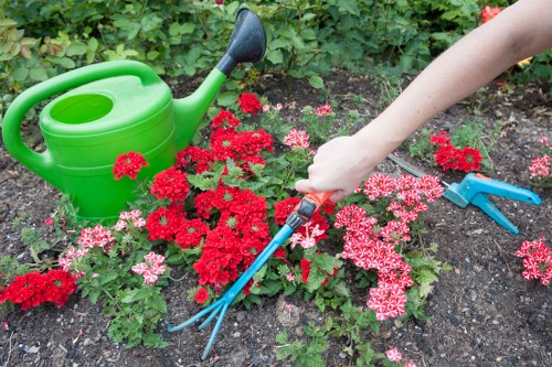 Illustration of garden service terms and conditions document