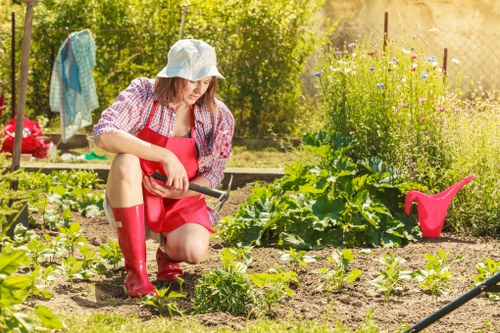Gardeners Millbank enhancing a London property with healthy planting