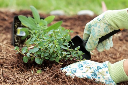 Seasonal planting and border care in a Millbank garden