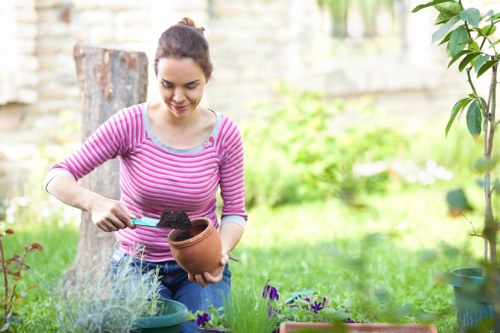 Professional garden maintenance in Millbank for a stylish outdoor space