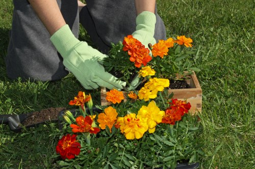 Professional complaint procedure for gardeners