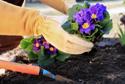 A low-carbon van supporting sustainable garden operations