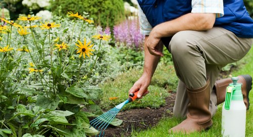 Courtyard and container garden maintenance in Millbank