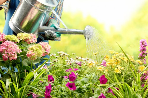 Image representing ongoing accessibility improvements for Gardeners Millbank