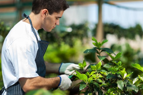Free quote policy for Gardeners Millbank services
