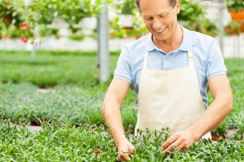 Lawn care and trimming for a Millbank garden