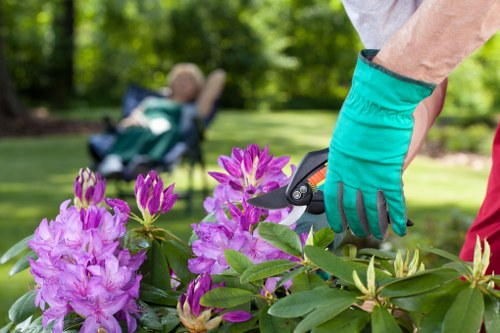 Image illustrating keyboard navigation support for Millbank gardening pages