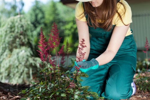 Seasonal planting and contemporary hard landscaping in a Millbank garden