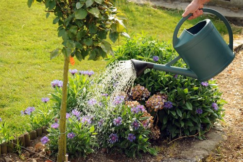 Professional lawn and hedge maintenance in Millbank