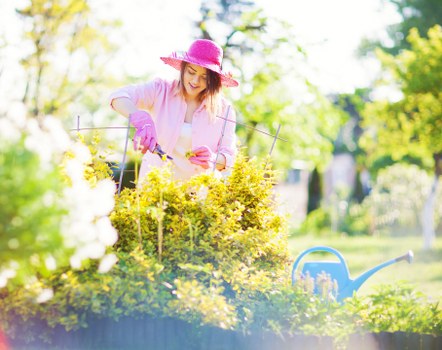 Professional lawn mowing service trimming garden edges in Millbank