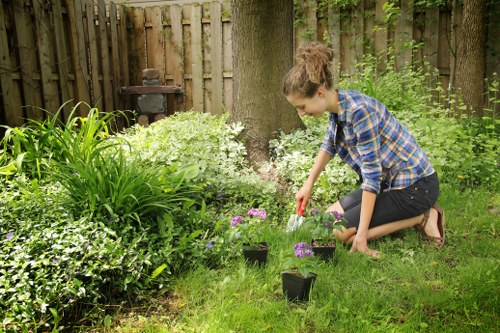 Illustration of payment and invoicing for garden maintenance