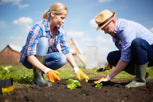 Urban rooftop garden maintenance in Millbank
