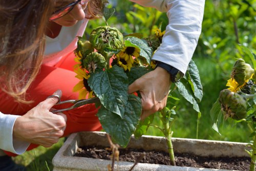 Structured handling of garden service complaints