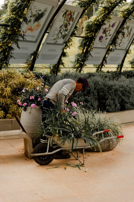 A man outdoors in a well-maintained garden, operating a petrol-powered lawn mower on a neatly trimmed grassy lawn. He has short, light-colored hair and a beard, and is wearing a dark puffer jacket and