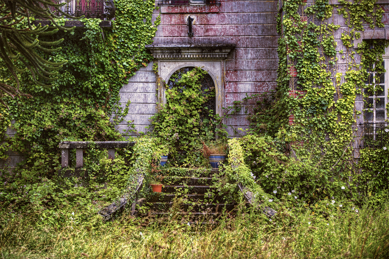 lawn mowing garden design