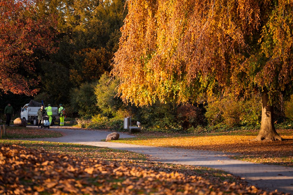 Westminster council green waste fines for Millbank gardeners